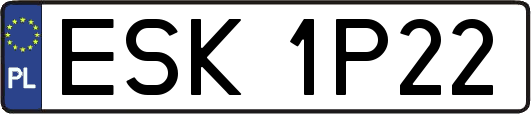 ESK1P22