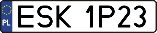 ESK1P23