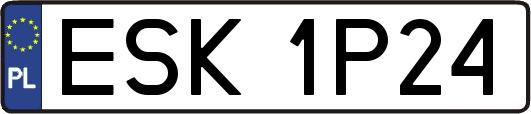 ESK1P24