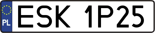ESK1P25