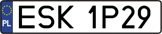 ESK1P29