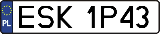 ESK1P43