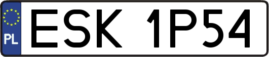ESK1P54