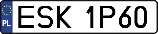 ESK1P60