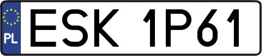 ESK1P61
