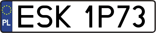 ESK1P73
