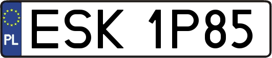 ESK1P85