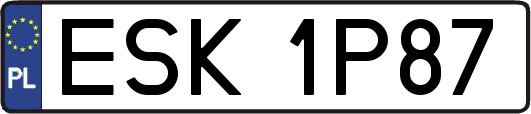 ESK1P87
