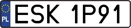 ESK1P91