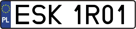 ESK1R01