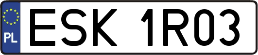 ESK1R03
