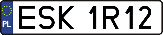 ESK1R12