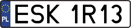 ESK1R13