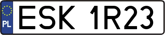 ESK1R23