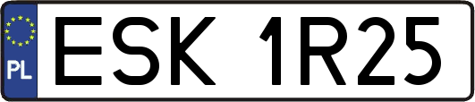 ESK1R25