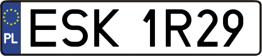 ESK1R29