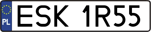ESK1R55