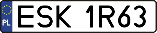 ESK1R63