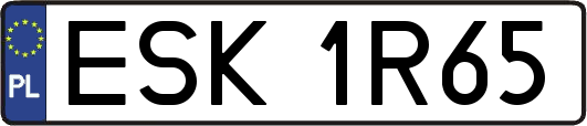 ESK1R65