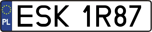 ESK1R87