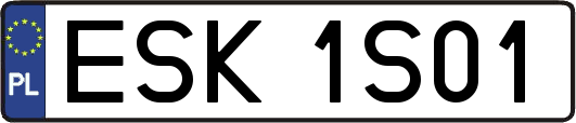 ESK1S01