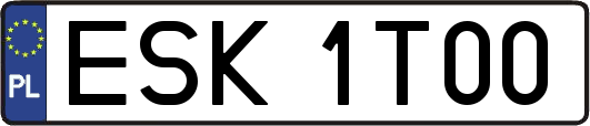 ESK1T00