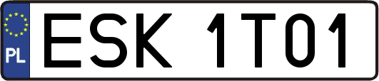 ESK1T01