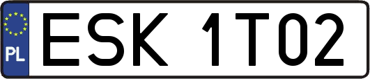 ESK1T02