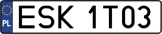 ESK1T03