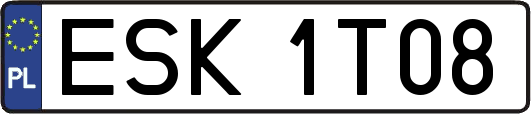 ESK1T08