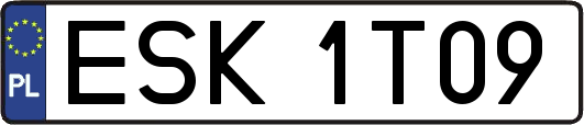 ESK1T09