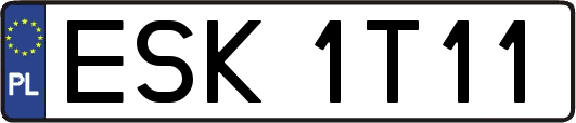 ESK1T11