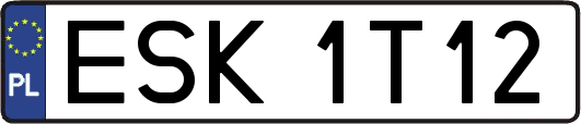 ESK1T12
