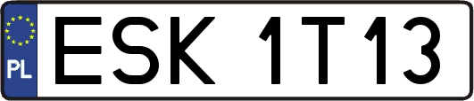 ESK1T13