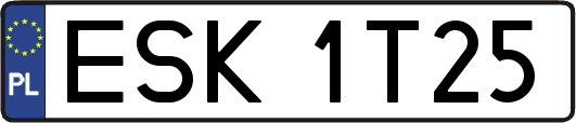ESK1T25