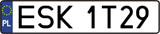 ESK1T29