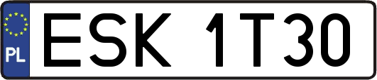 ESK1T30
