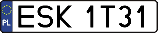ESK1T31