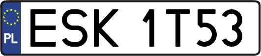ESK1T53