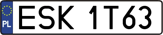 ESK1T63