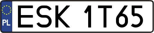 ESK1T65