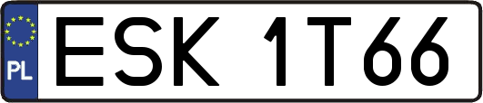 ESK1T66