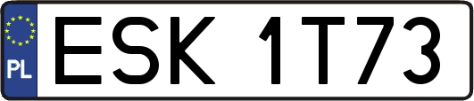 ESK1T73