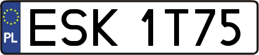 ESK1T75