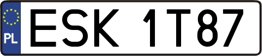 ESK1T87