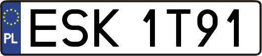 ESK1T91