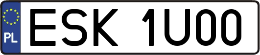 ESK1U00