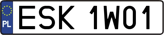 ESK1W01