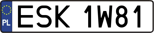 ESK1W81