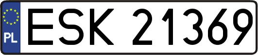 ESK21369